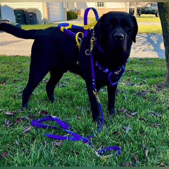 Cherry Cola Lip Balm - Hydrating & Nourishing, Alcohol-Free Formula NWT - Picture 7 of 9